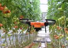 De drones hadden weinig ruimte in de nauwe padden tussen de planten door.